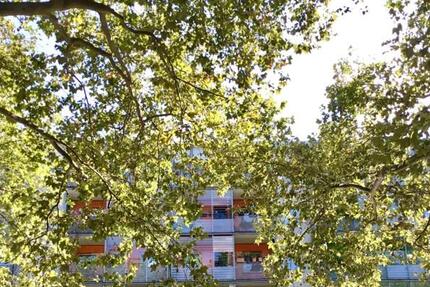 Hauptsache Hauptstraße! - Zentrumsnah in Dresden! zimmer