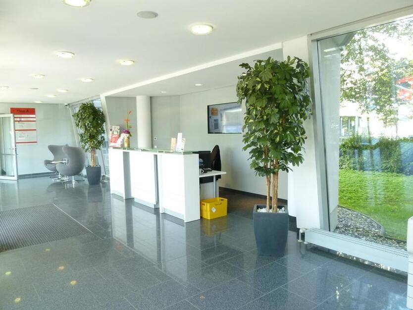 Kleines Büro im zentralen ON Zentrum ! zimmer