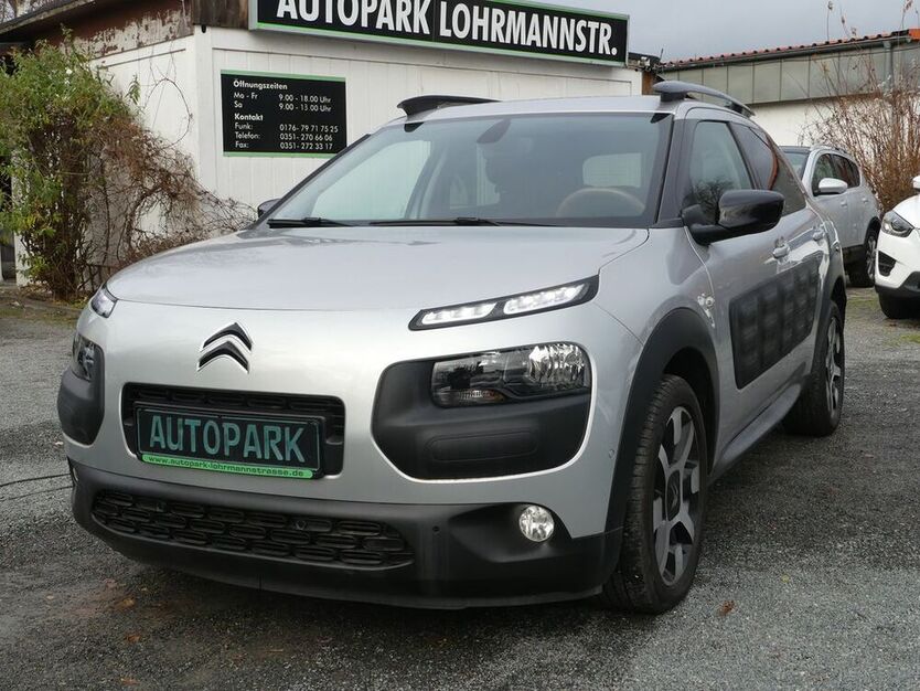C4 Cactus