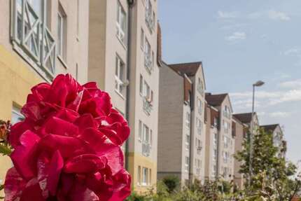 Wohnung Pirna Sonnenstein - 2 Zimmer, 69 m&sup2;, 402&euro; | Angebot:27208592