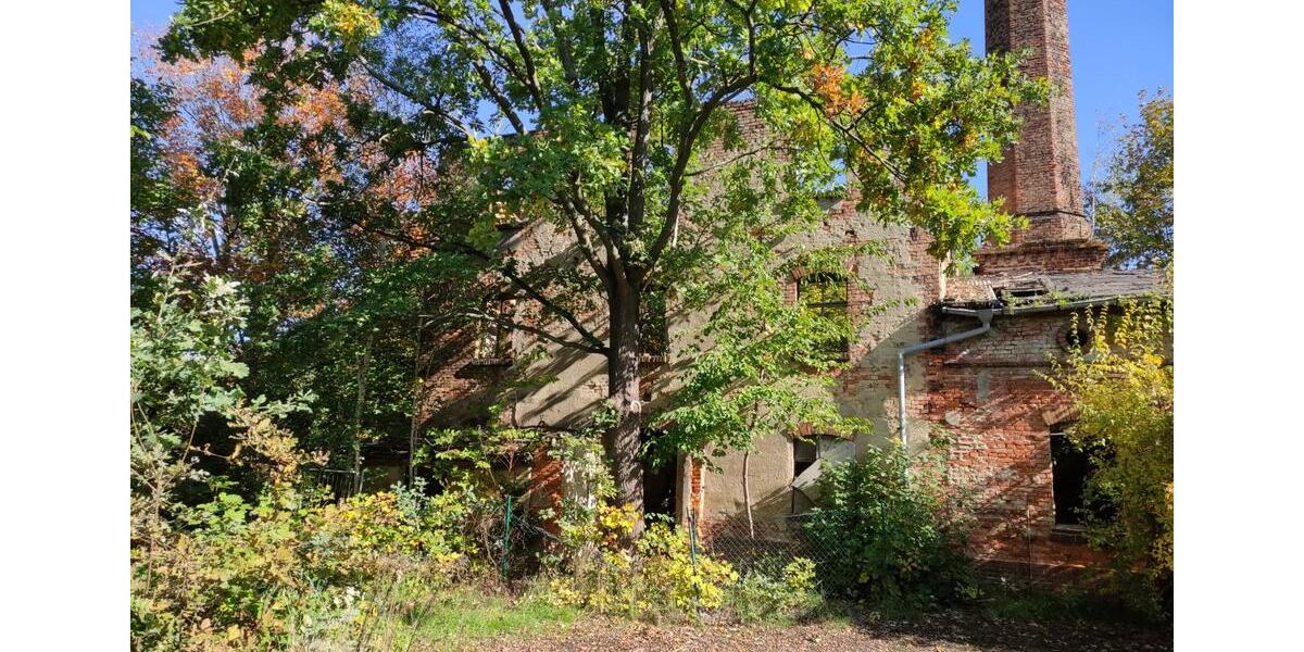 Grundstück Meißen - 1.000.000&euro; | Angebot:8676426