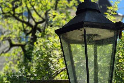 Wecke mich aus meinem Dornröschenschlaf und lass mich im Glanz erstrahlen!!! 1 zimmer