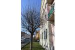 Etagenwohnung Dresden Löbtau-Nord - 2 Zimmer, 47 m&sup2;, 347&euro; | Angebot:26572752