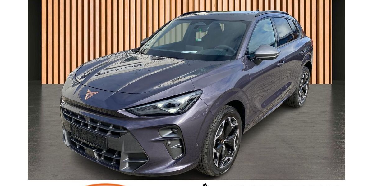 Cupra Terramar 18.784 km 34.980 &euro; Dresden 01328