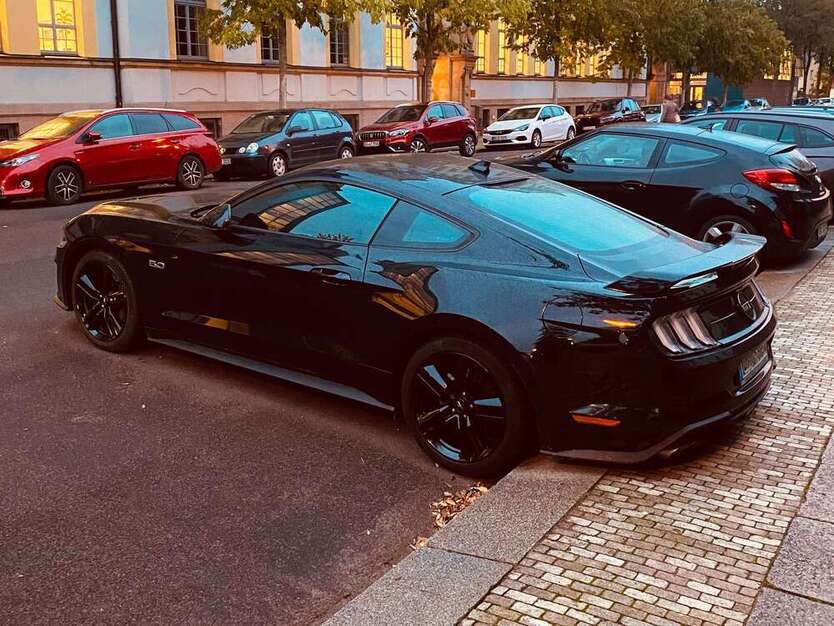 Mustang