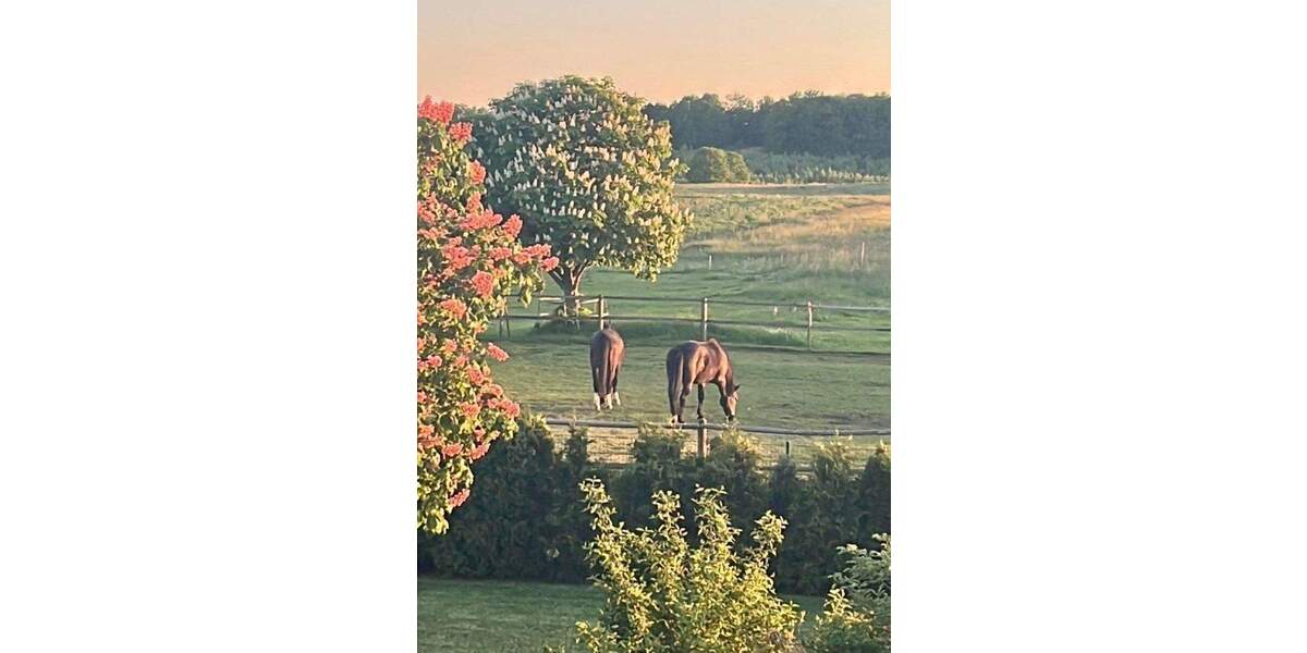 Einfamilienhaus Radeburg Bärnsdorf - 5 Zimmer, 210 m&sup2;, 797.000&euro; | Angebot:25781043