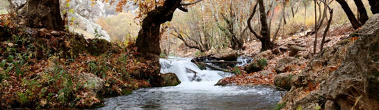 Elbamare Erlebnisbad Dresden