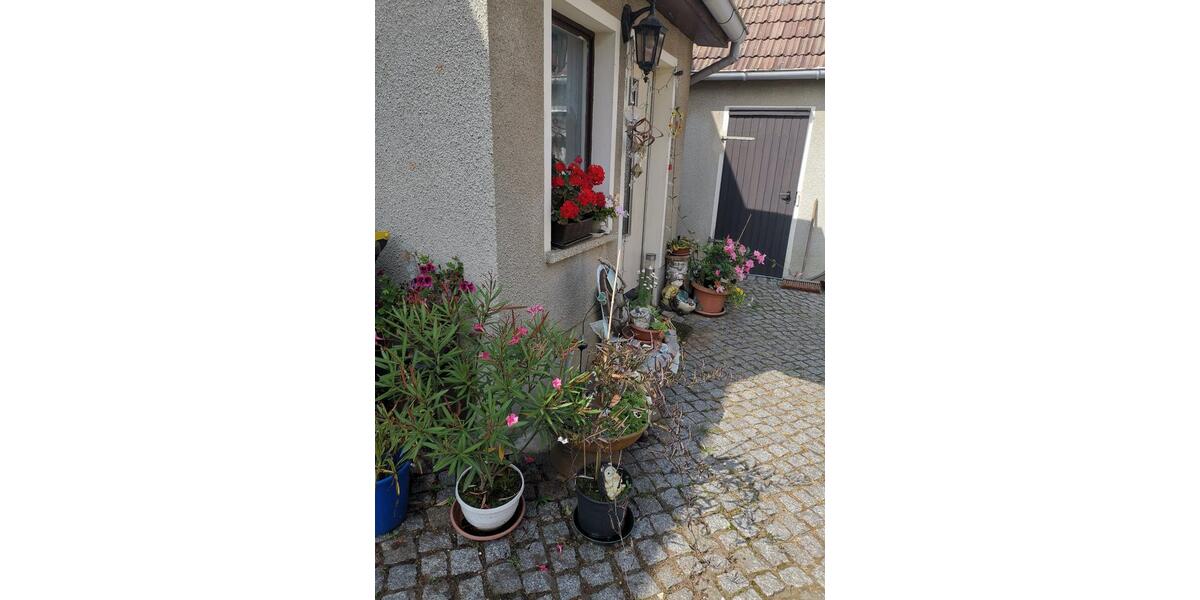 Einfamilienhaus Radeburg - 4 Zimmer, 160 m&sup2;, 250.000&euro; | Angebot:26715857
