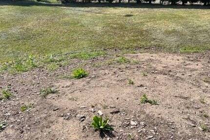 Grundstück Freital - 95.000&euro; | Angebot:25734466