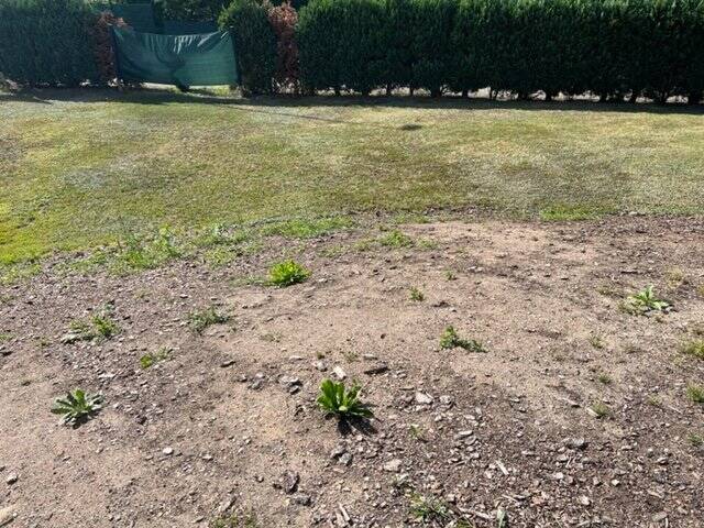 Grundstück Freital - 95.000&euro; | Angebot:25734466