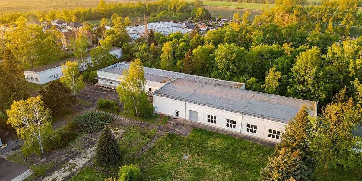 Gewerbeobjekt Coswig - 350.000&euro; | Angebot:26391638