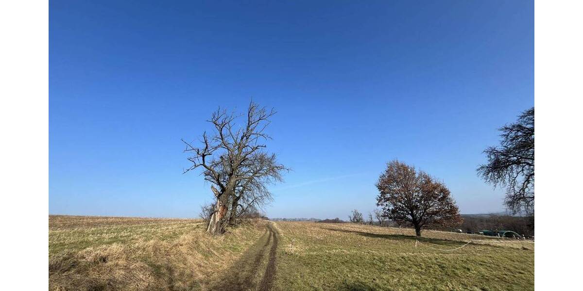 Historische Scheune mit Baugenehmigung - Ihr Traum vom Ein- oder Mehrfamilienhaus im Einzeldenkmal 5 zimmer