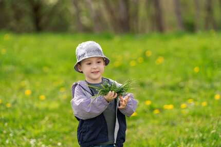 Haus zum Kaufen in Pulsnitz 299.500 € 131 m² - Haus Pulsnitz | Angebot:25805066