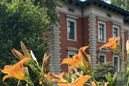 Wohnen und Arbeiten in historischer Denkmal Villa in Radebeul 10 zimmer