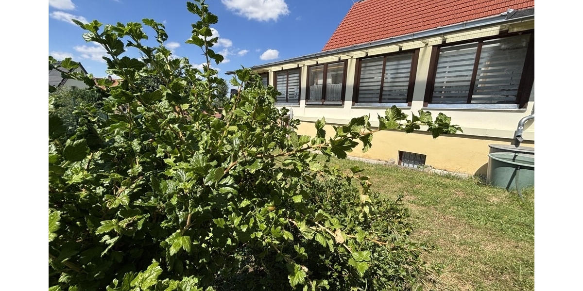 Naturerlebnis vor den Toren der Stadt - Ihr neues Familienzuhause in Klipphausen-Bockwen - Einfamilienhaus Klipphausen | Angebot:27133205