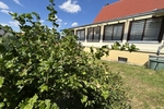 Naturerlebnis vor den Toren der Stadt - Ihr neues Familienzuhause in Klipphausen-Bockwen - Einfamilienhaus Klipphausen | Angebot:27133205