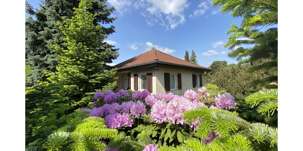 Kleiner Bungalow auf großem Baugrundstück in perfekter Lage von Coswig - Einfamilienhaus Coswig | Angebot:26889040