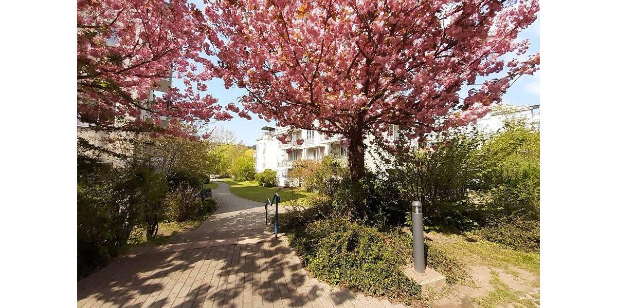 Dachgeschoßwohnung Meißen - 2 Zimmer, 64 m&sup2;, 500&euro; | Angebot:26424149