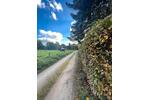 Bungalow Dresden Loschwitz - 3 Zimmer, 60 m&sup2;, 190.000&euro; | Angebot:27156832