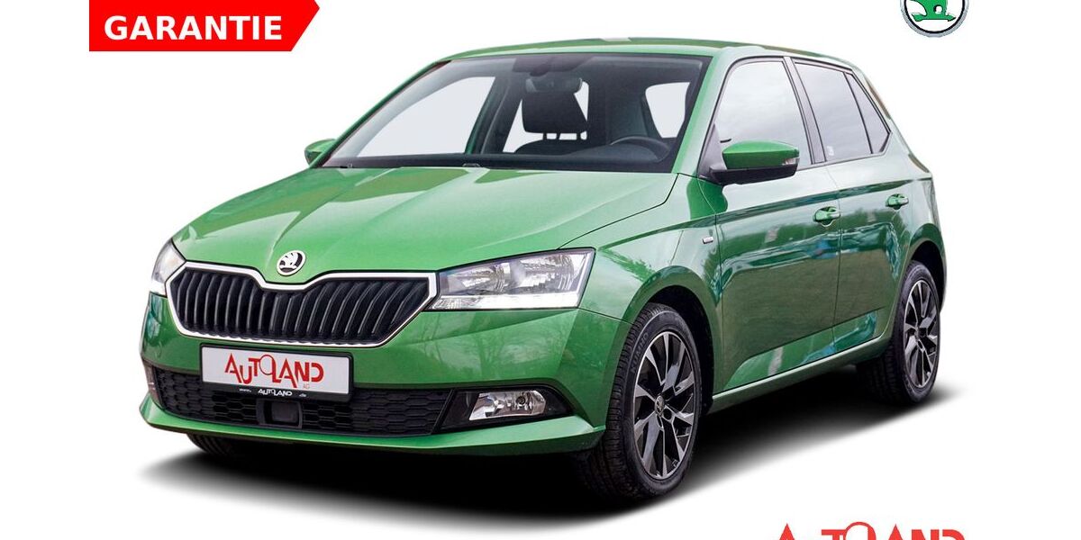 Skoda Fabia 54.195 km 14.950 &euro; Dresden 01239