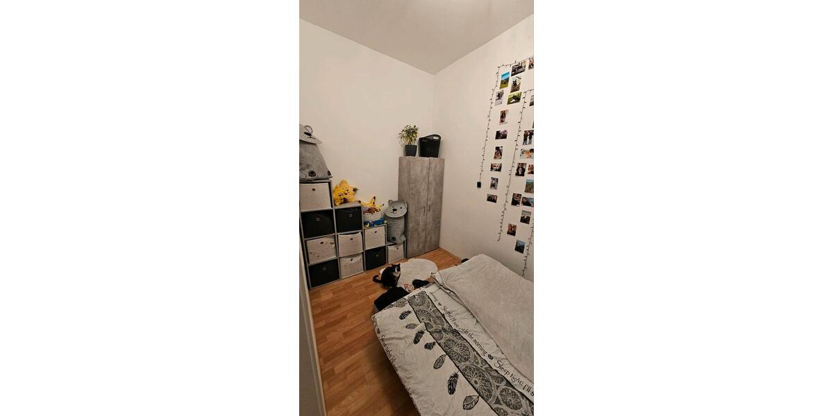 Erdgeschoßwohnung Pirna - 2 Zimmer, 42 m&sup2;, 450&euro; | Angebot:25351409