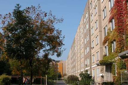Wohnung Dresden Friedrichstadt - 2 Zimmer, 47 m&sup2;, 335&euro; | Angebot:26548192