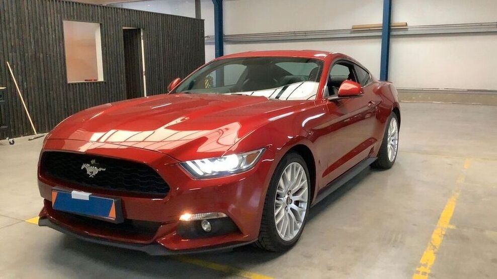 Mustang