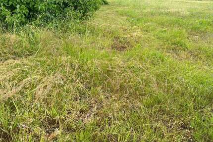 Grundstück zu verkaufen in Bannewitz 130.000 € 470 m² zimmer