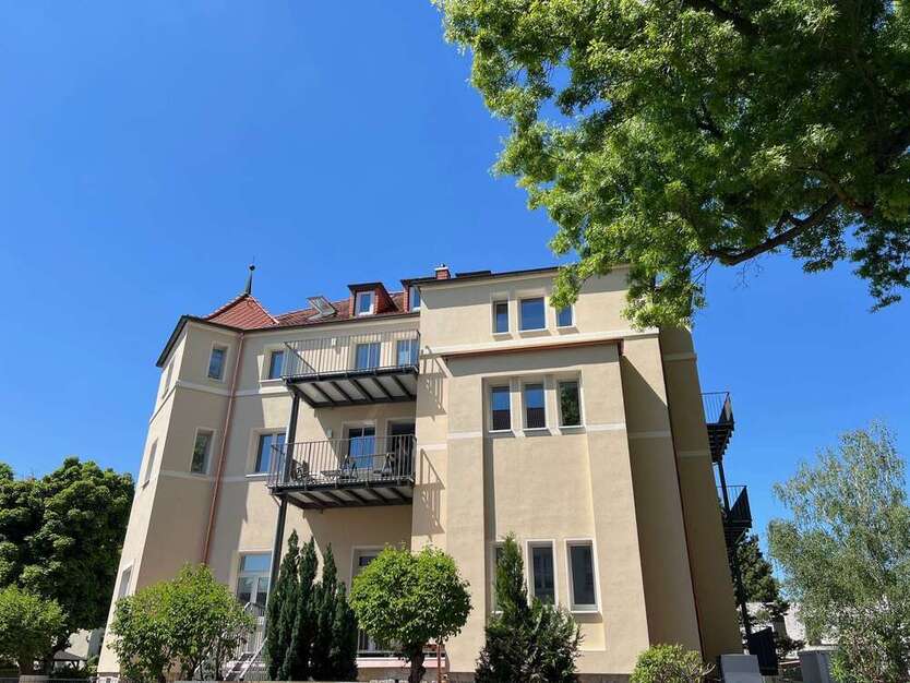 Wohnung zum Mieten in Dresden 1.035 € 64.9 m²