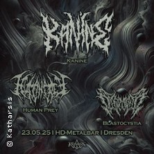 Kanine + Human Prey Dresden