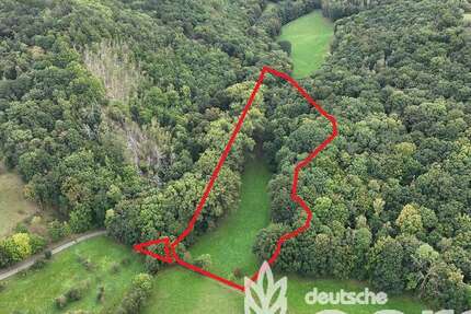 Grundstück in Klipphausen Constappel 9.900 € 18608 m² zimmer