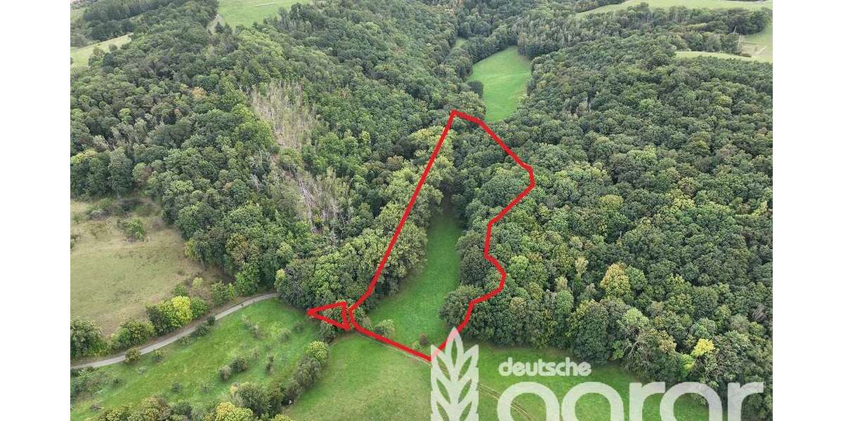 Grundstück in Klipphausen Constappel 9.900 € 18608 m² zimmer