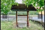 Einfamilienhaus Ebersbach - 320.000&euro; | Angebot:25750734