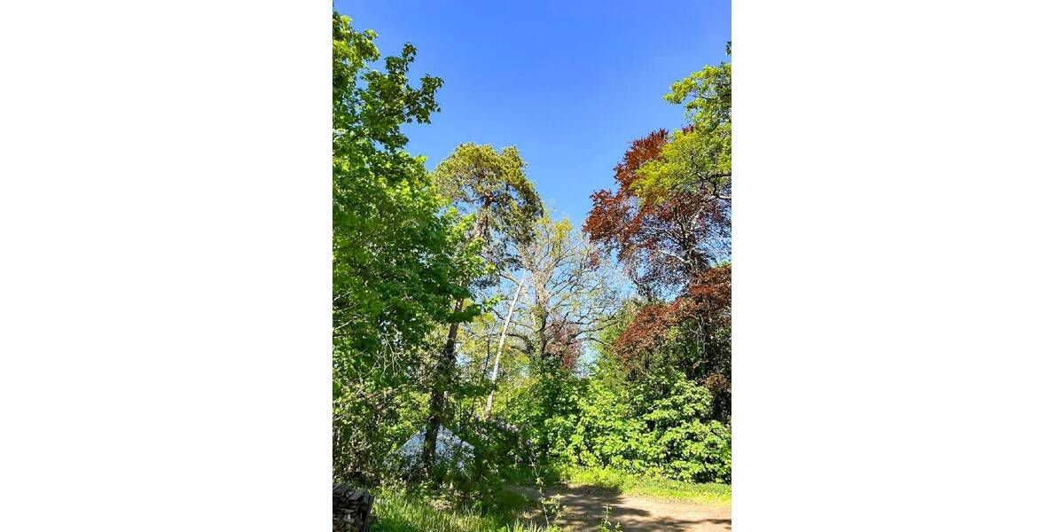 Grundstück Dresden Pieschen-Nord/Trachenberge - 340.000&euro; | Angebot:25663771