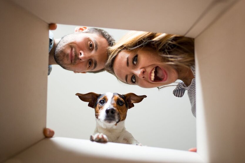 Generation 6 - Mehr als ein Haus. Dein neues Lebensgefühl. 6 zimmer