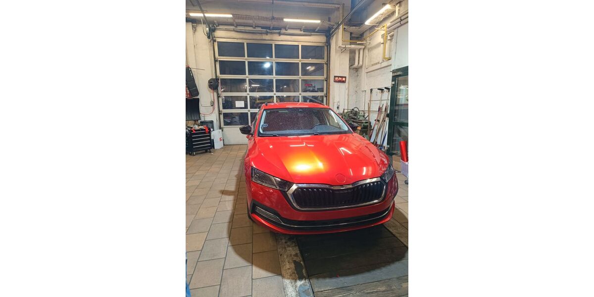 Skoda Octavia 69.500 km 18.500 &euro; Wilsdruff 01723
