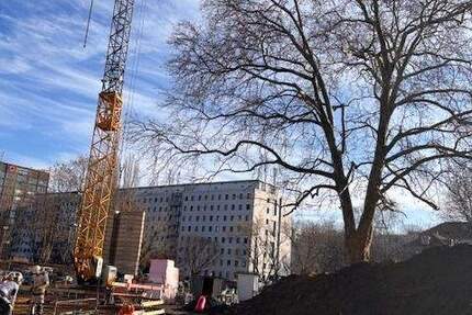 Wohnung Dresden Südvorstadt-West - 4 Zimmer, 101 m&sup2;, 707.000&euro; | Angebot:25266846