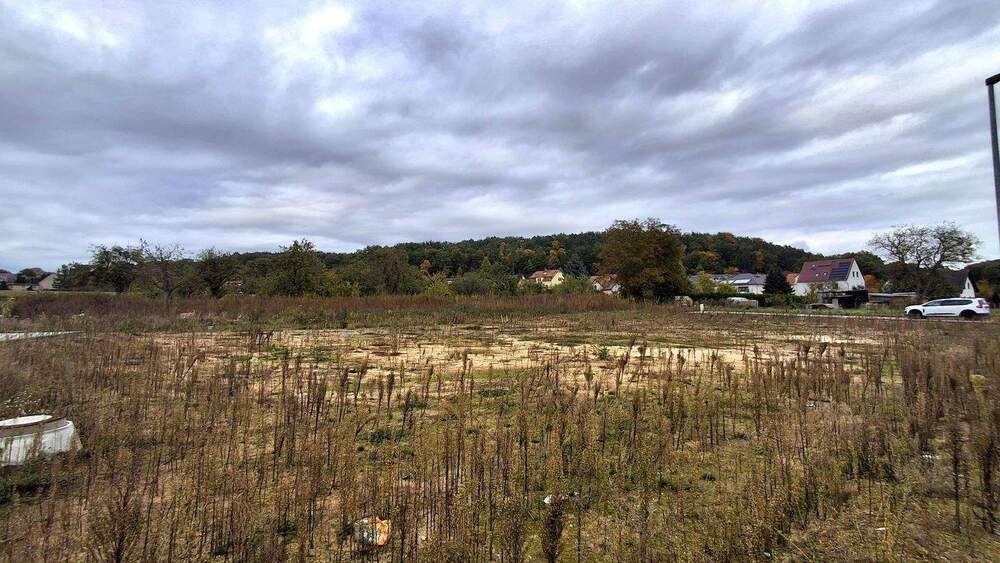 Grundstück Pirna - 191.570&euro; | Angebot:25704950