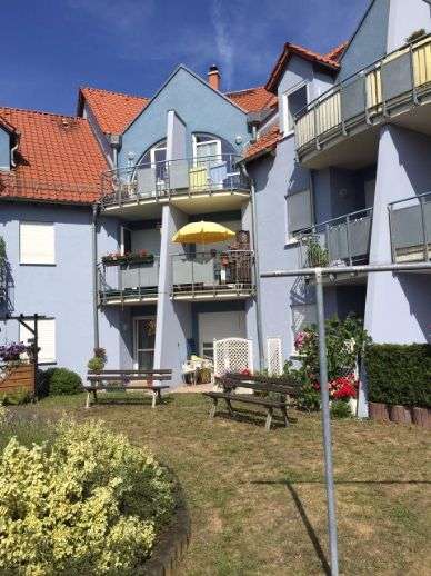 Wohnung zum Mieten in Weinböhla 430 € 57 m²