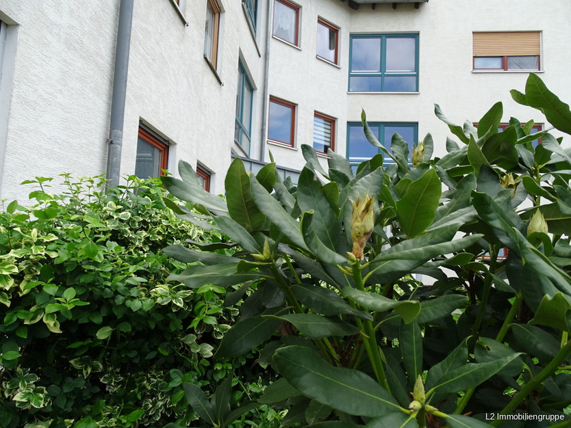 Toll gelegene 3-Raum Eigentumswohnung in Weinböhla 3 zimmer