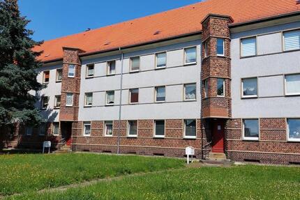 Wohnung Dresden Cotta - 3 Zimmer, 70 m&sup2;, 610&euro; | Angebot:26351160
