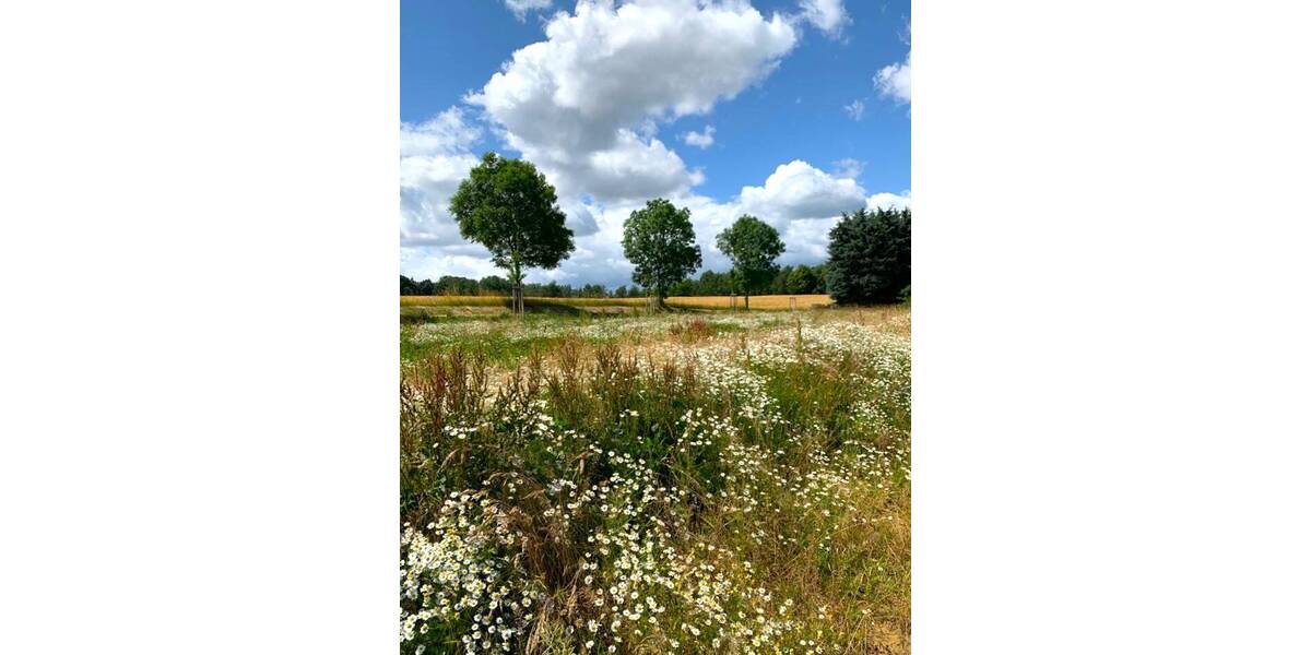 Grundstück Pulsnitz - 132.750&euro; | Angebot:25735442