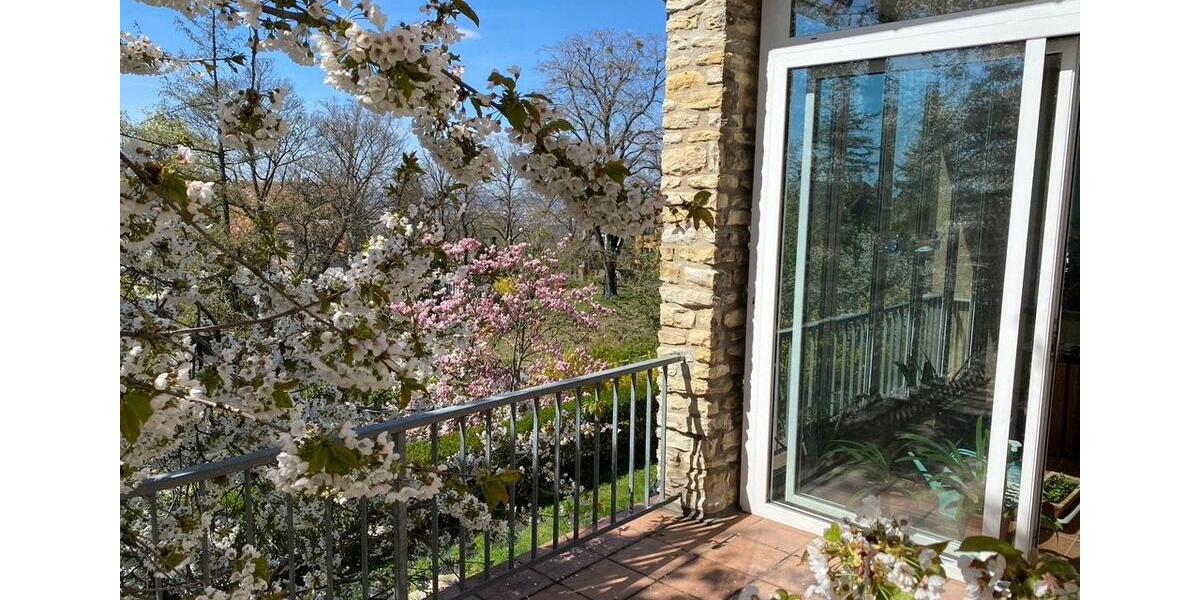Erdgeschoßwohnung Dresden Loschwitz - 6 Zimmer, 181 m&sup2;, 2.353&euro; | Angebot:26463602