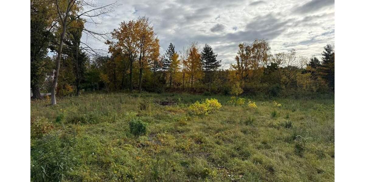 Grundstück Weinböhla - 306.700&euro; | Angebot:25703585