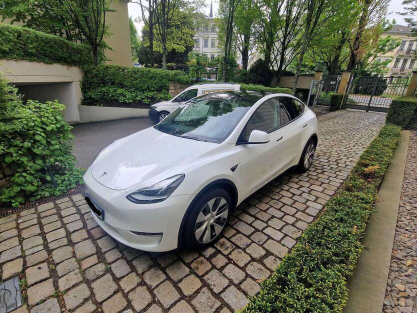 Model Y