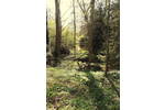Doppelhaushälfte Dresden-Schönfeld Schönfeld - 7 Zimmer, 150 m&sup2;, 455.000&euro; | Angebot:26639584