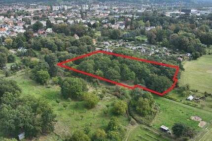 Grundstück in Coswig 8.900 € 8721 m² zimmer