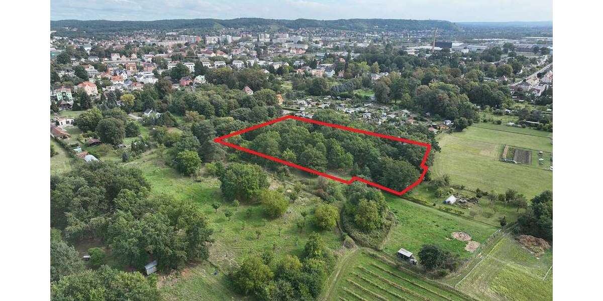 Grundstück in Coswig 8.900 € 8721 m² zimmer