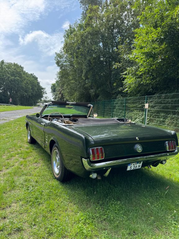 Mustang