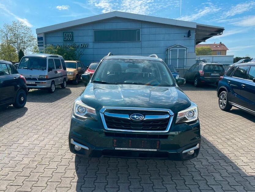 Forester